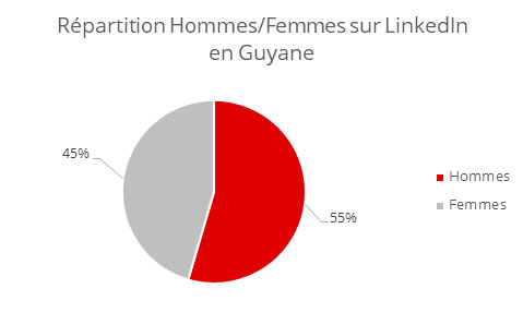 Hommes Femmes LinkedIn Guyane